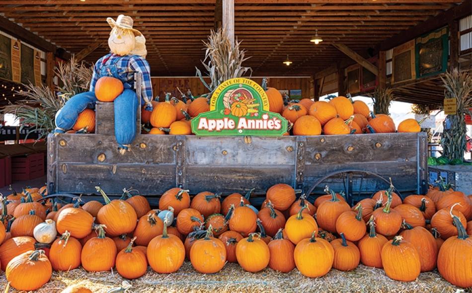 Top Things to Do this Halloween in Arizona