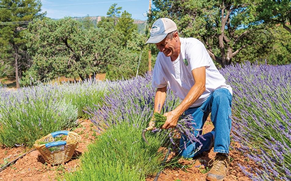 Another Side of Arizona: Art, History, and Culture