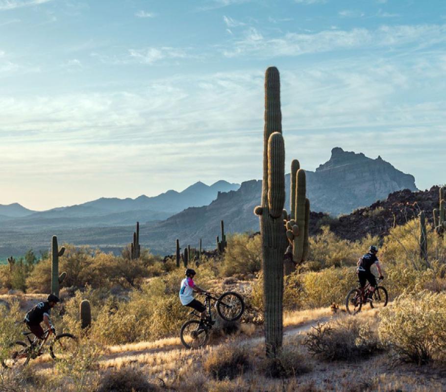 10 Guys Getaways in Phoenix