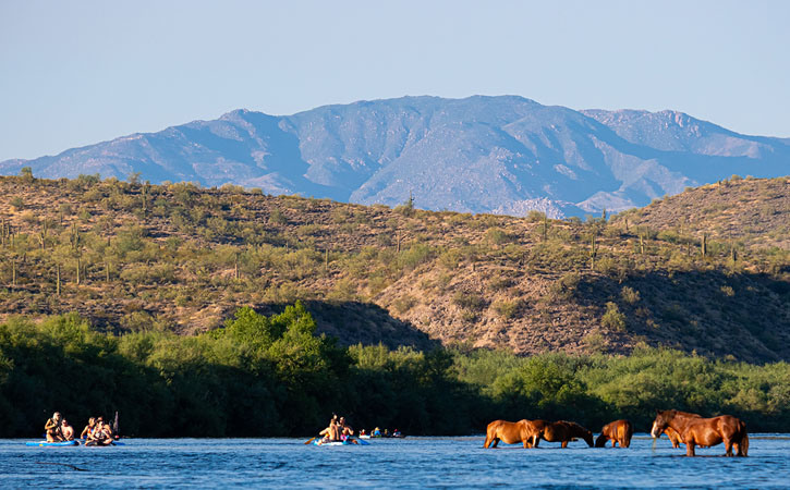 Kayakers drift on the water of a river next to several wild horses taking a drink, desert hills and mountains behind them.