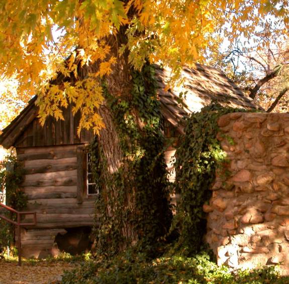 Arizona's Fall Events and Festivals