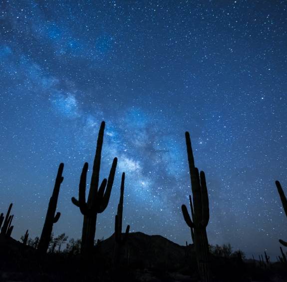 Celestial Sights and Cosmic Experiences