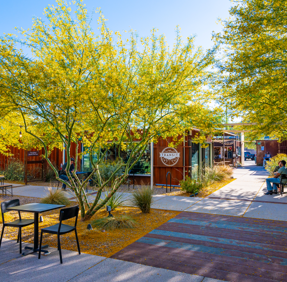 Plan a Booklover's Weekend in Tucson