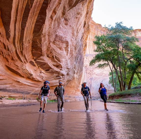 18 Adventures for Curious Minds