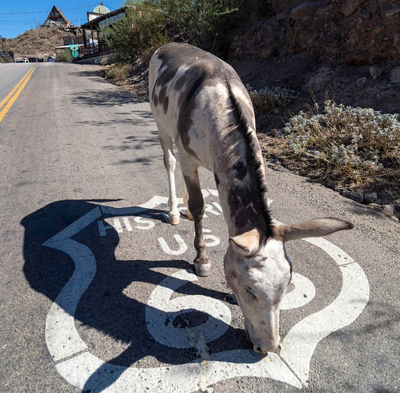 Iconic Landmarks Along Arizona’s Route 66