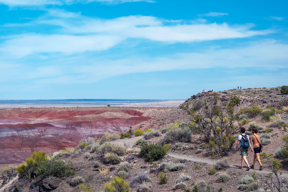 Painted Desert
