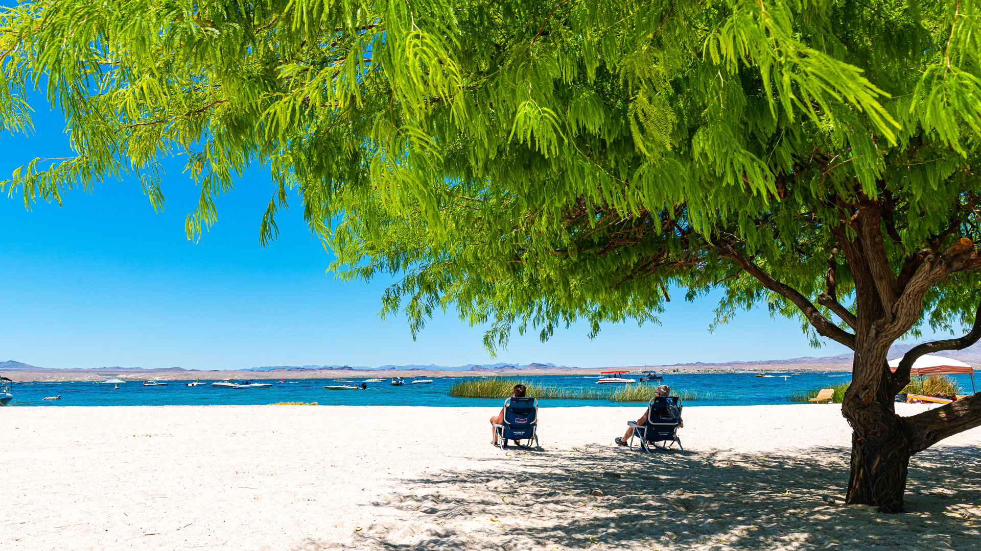 Lake Havasu State Park AZ