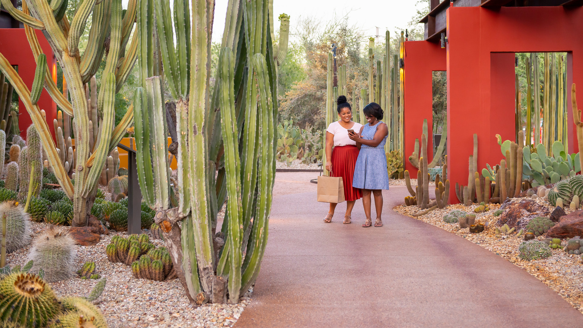 Desert Botanical Garden, Phoenix