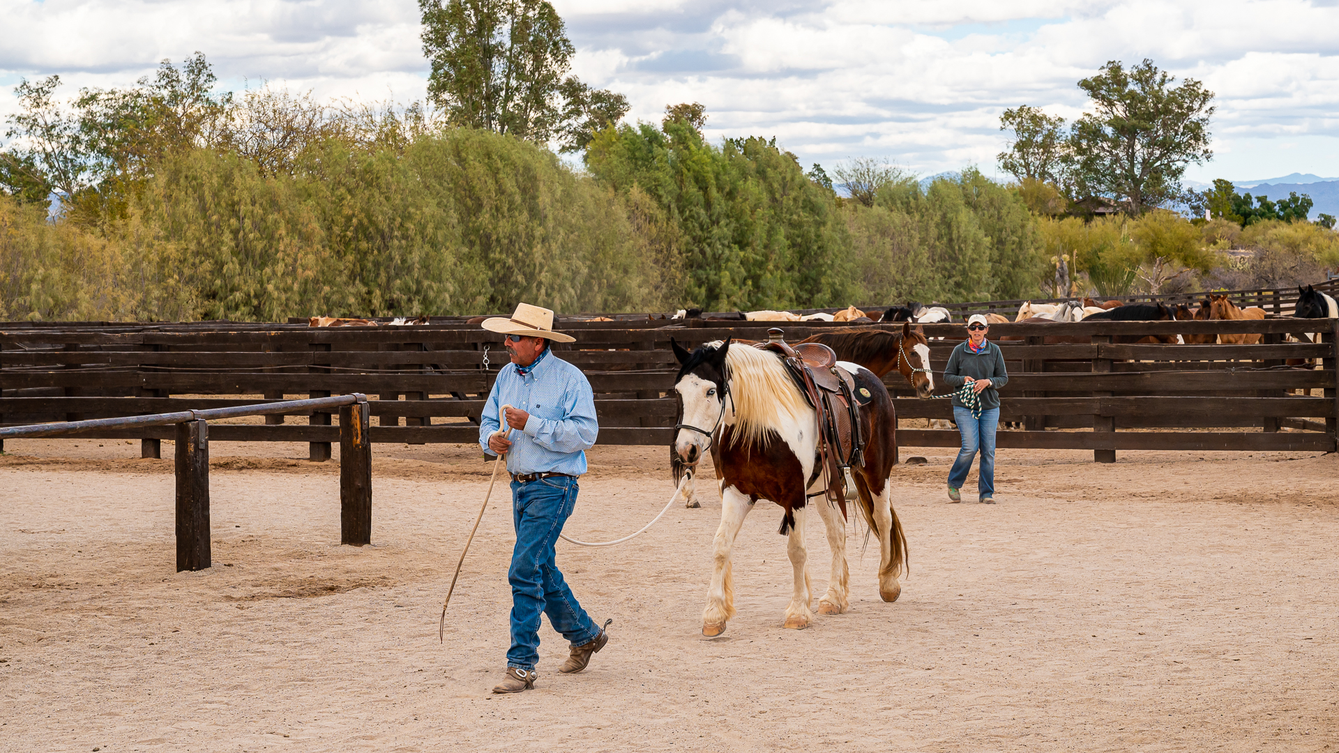 Rancho de los Caballeros, Wickenburg. Credit: An Pham