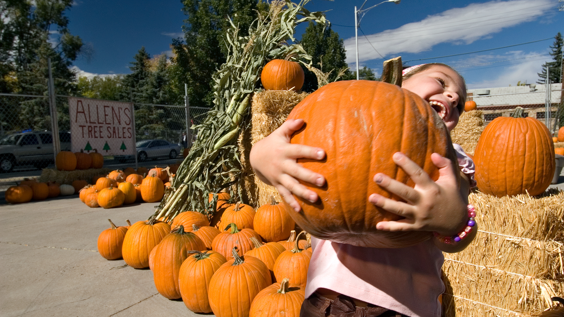 Credit: Geoff Gourley