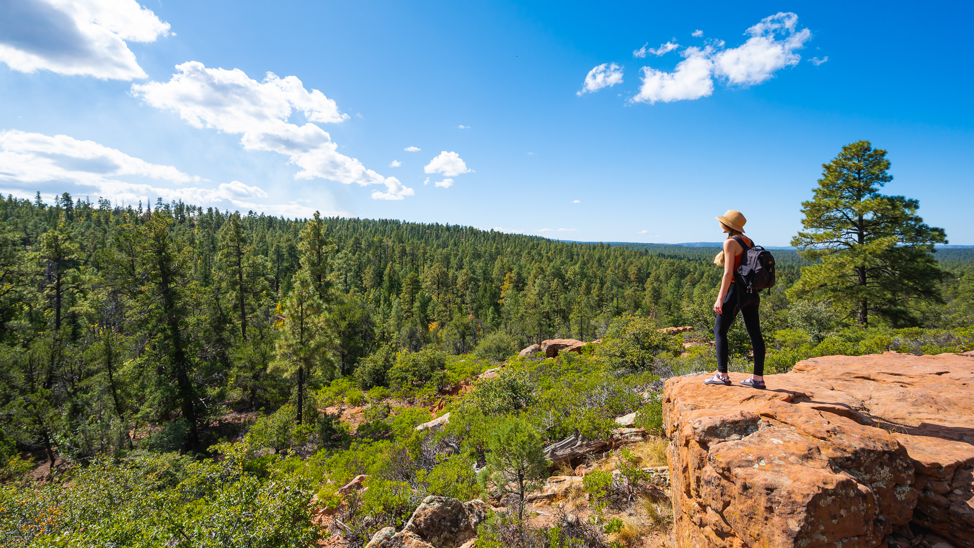 Mogollon Interpretive Trail. Credit: An Pham