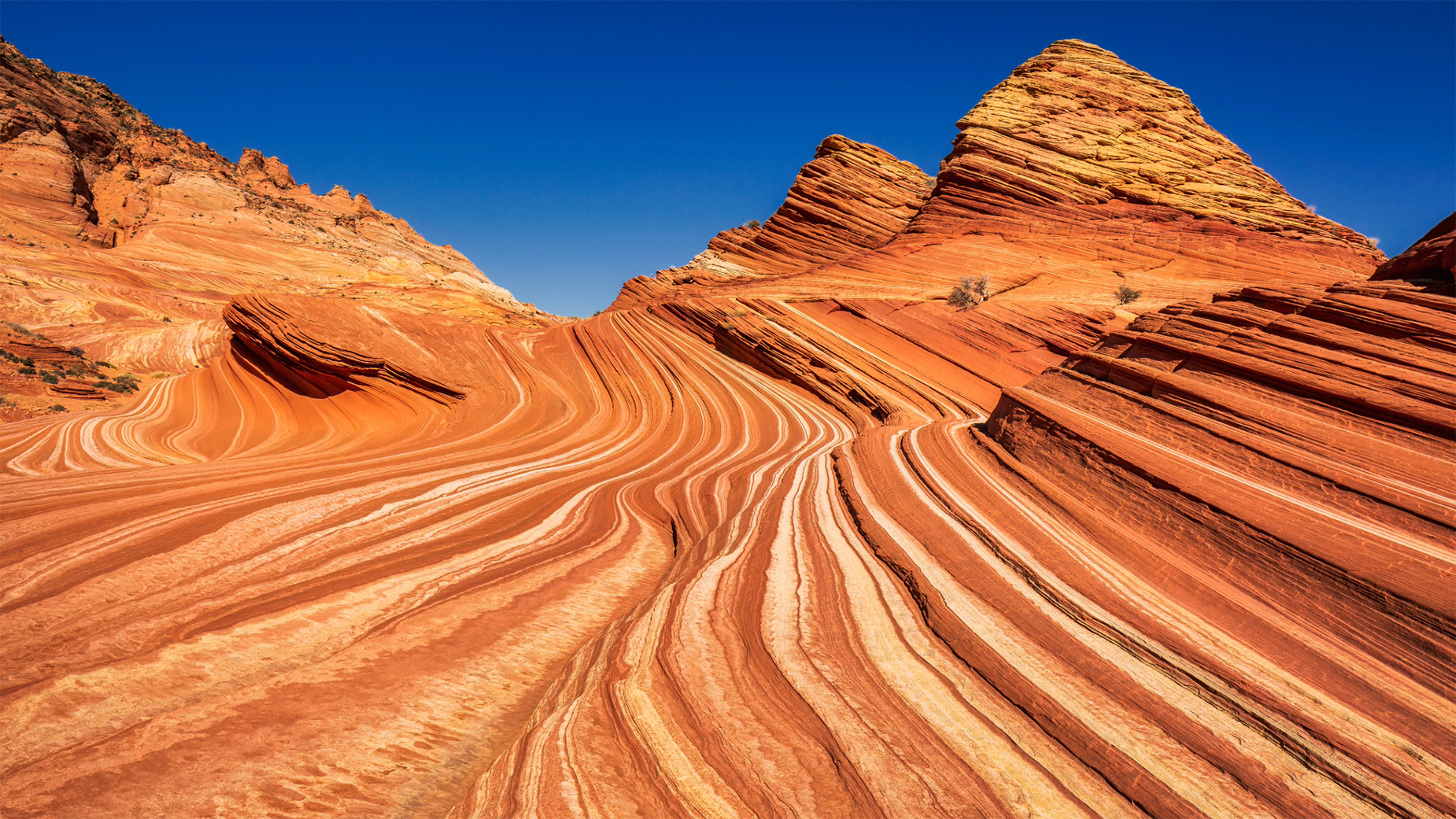 A Guide To Visiting The Wave The Right Way Visit Arizona A Guide To Visiting The Wave The Right Way Visit Arizona