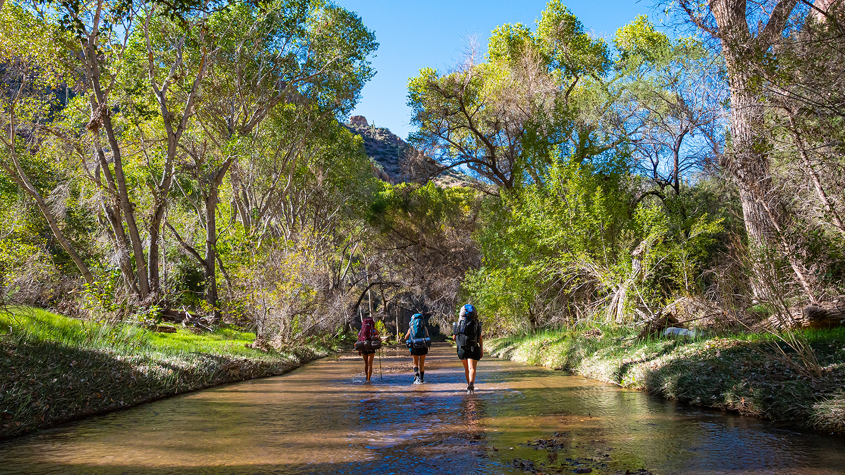Aravaipa Canyon