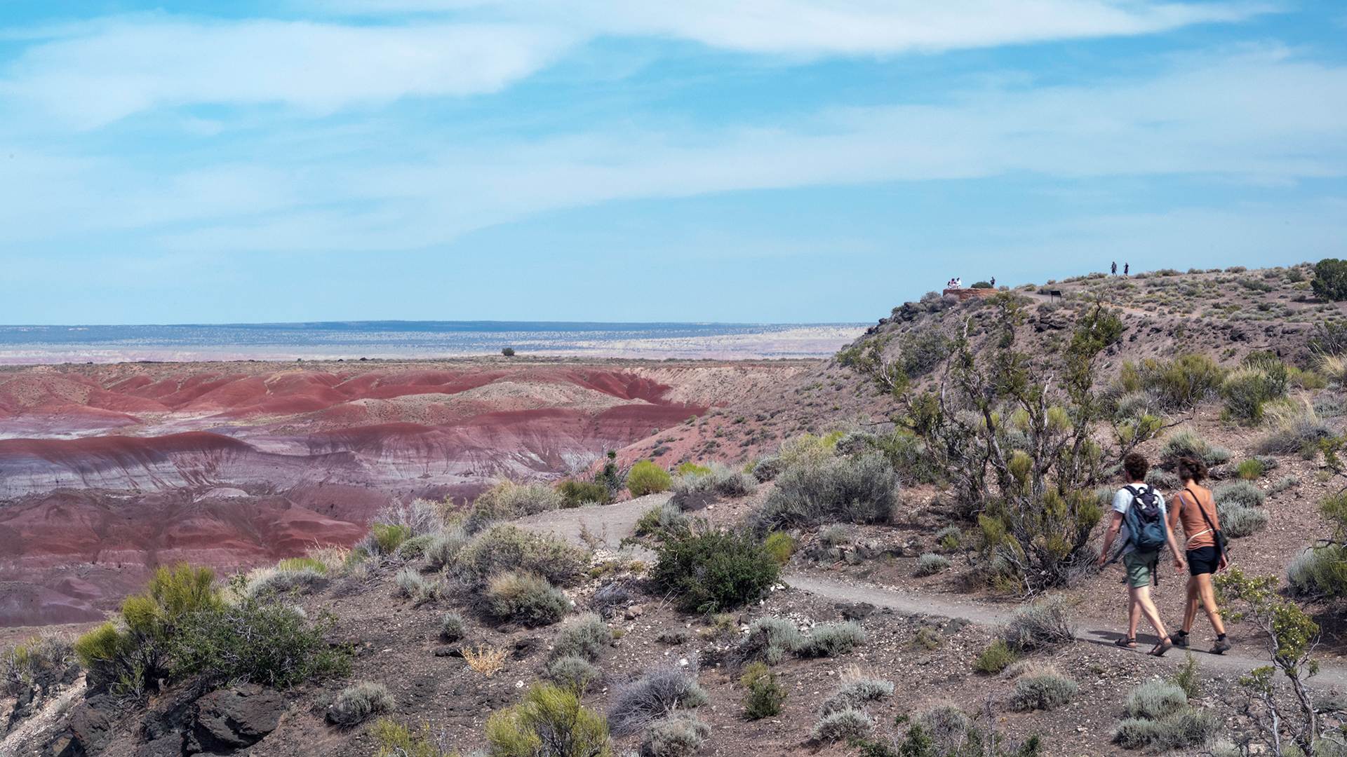 Painted Desert