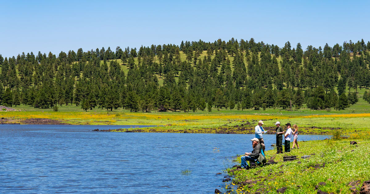 Family Fun in Arizona's White Mountains