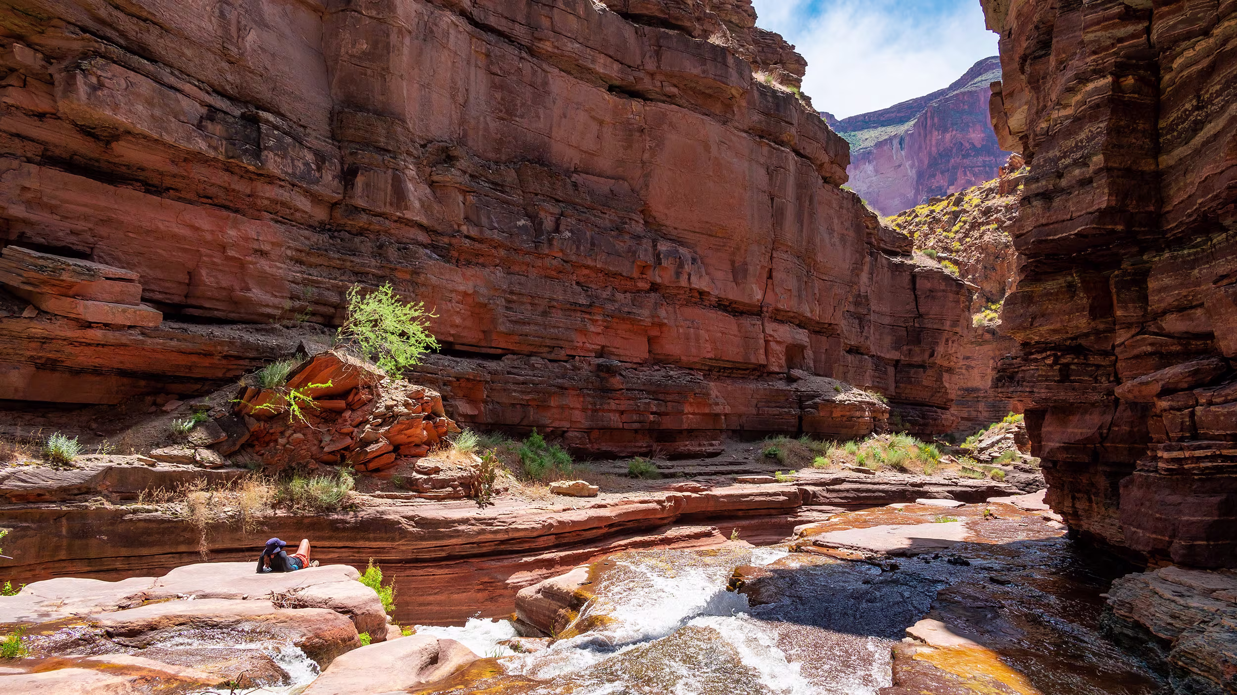 Grand Canyon Hiker