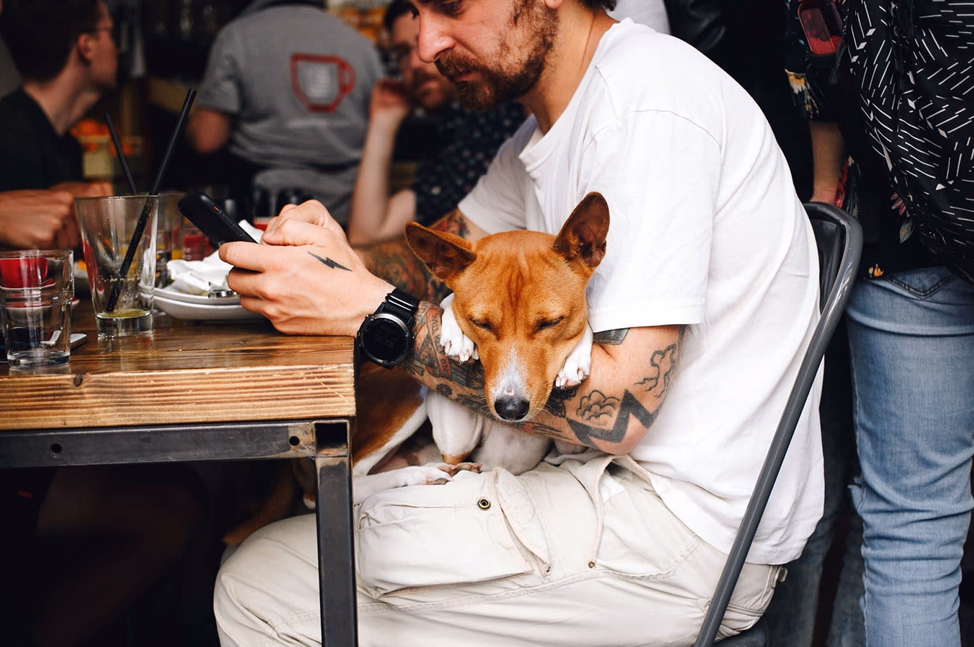 Dog Friendly Restaurants