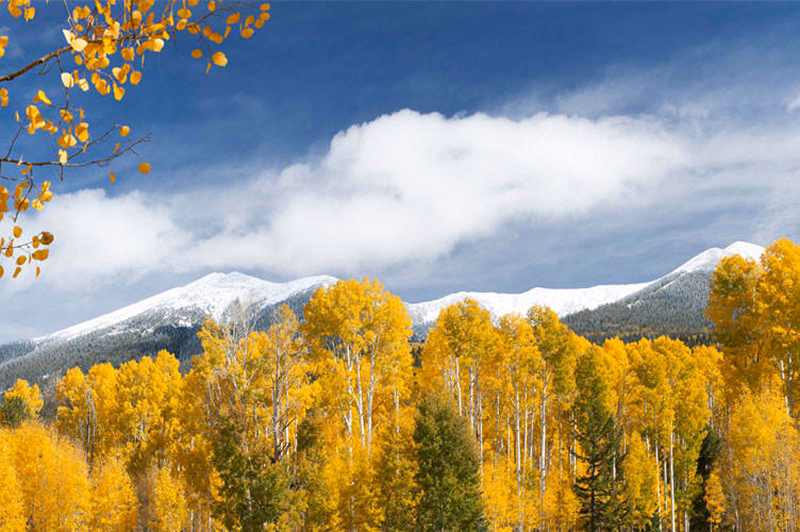 Flagstaff snowcapped mountain, credit Tom Alexander
