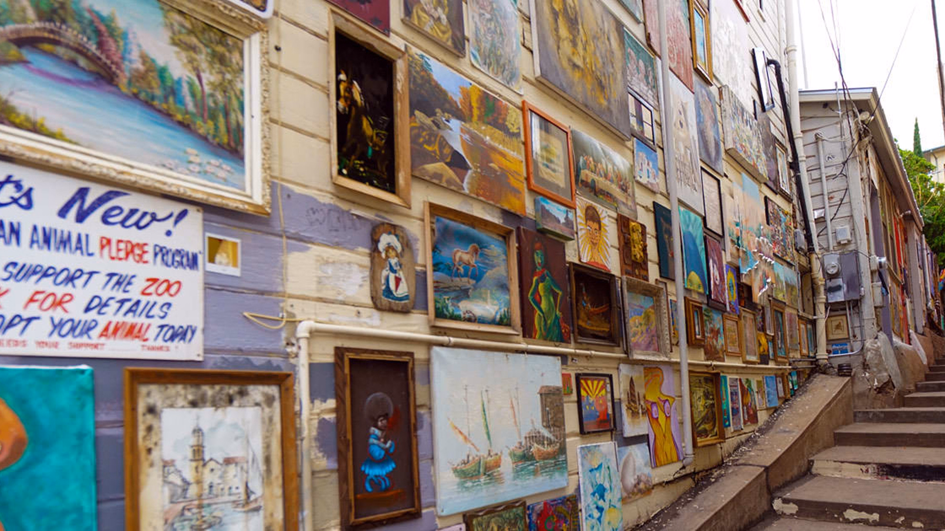 Credit: Dan Shewmaker