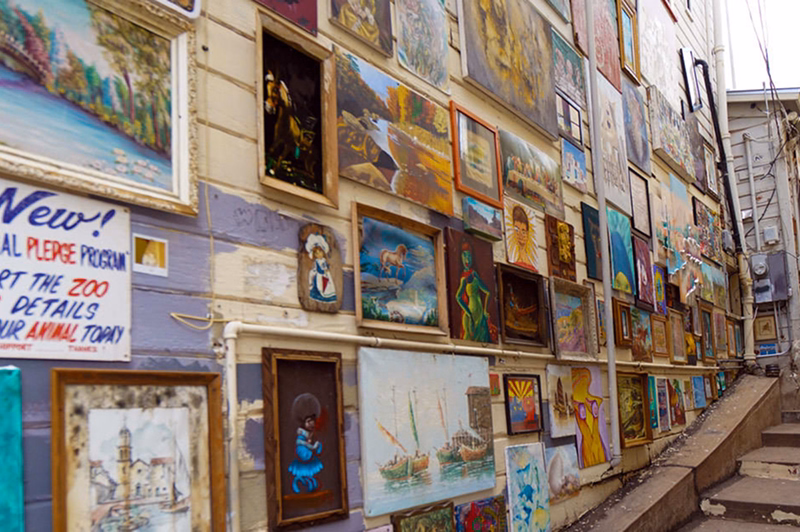 Credit: Dan Shewmaker