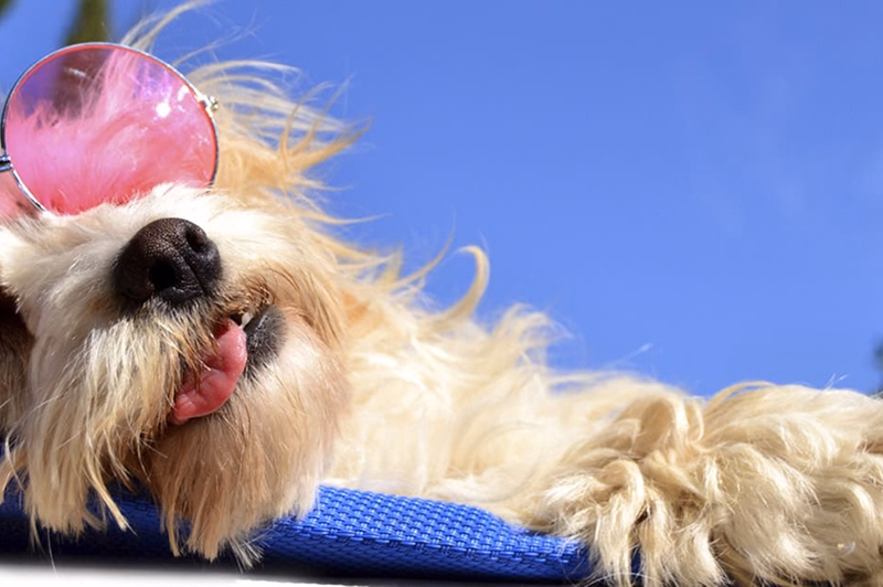 Credit: Natallia Vintsik