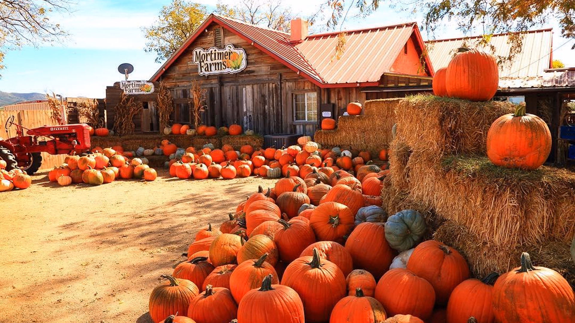 Pumpkins rest in piles on hay bales outside a barn whose sign reads Mortimer Farms.