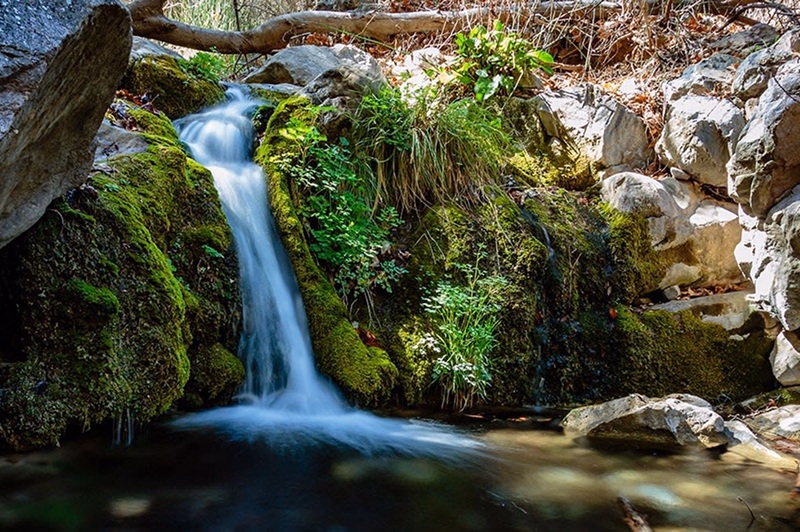 Ramsey Canyon Preserve, Hereford, AZ