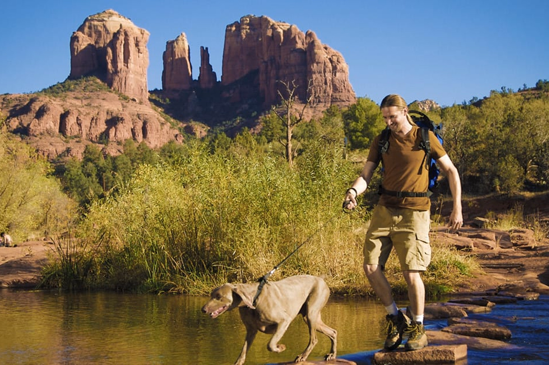 Red Rock Crossing, Sedona. In the foreground, a hiker and a leashed dog cross Oak Creek with views of Cathedra Rock in the background. 