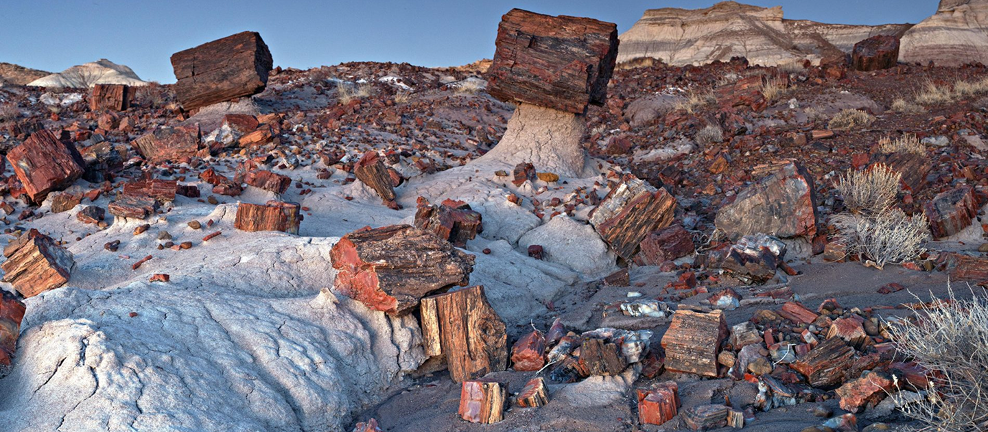 PETRIFIED FOREST NATIONAL PARK