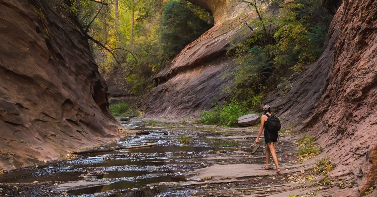 Oak Creek Canyon | Visit Arizona