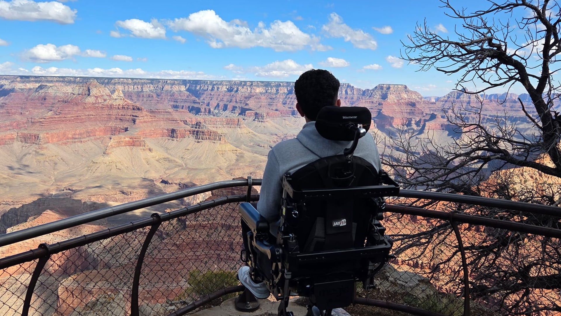 Person in a wheelchair overlooking a vast canyon landscape with a partly cloudy sky.