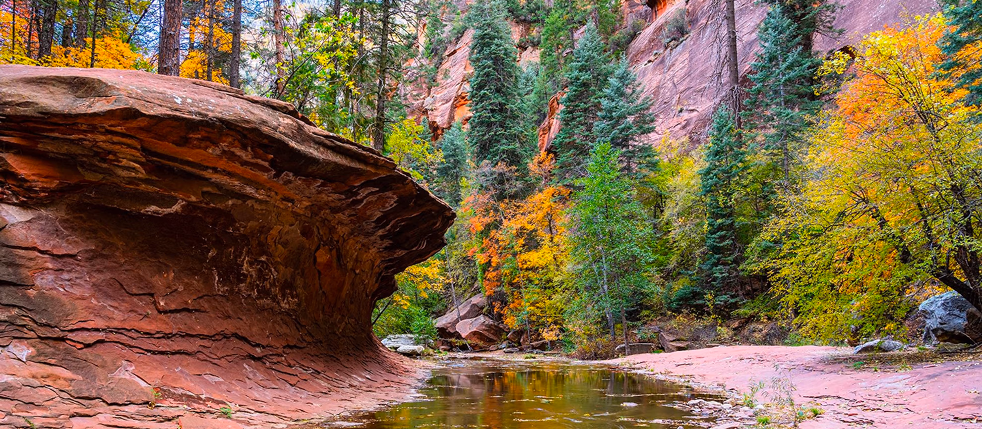 WEST FORK OF OAK CREEK