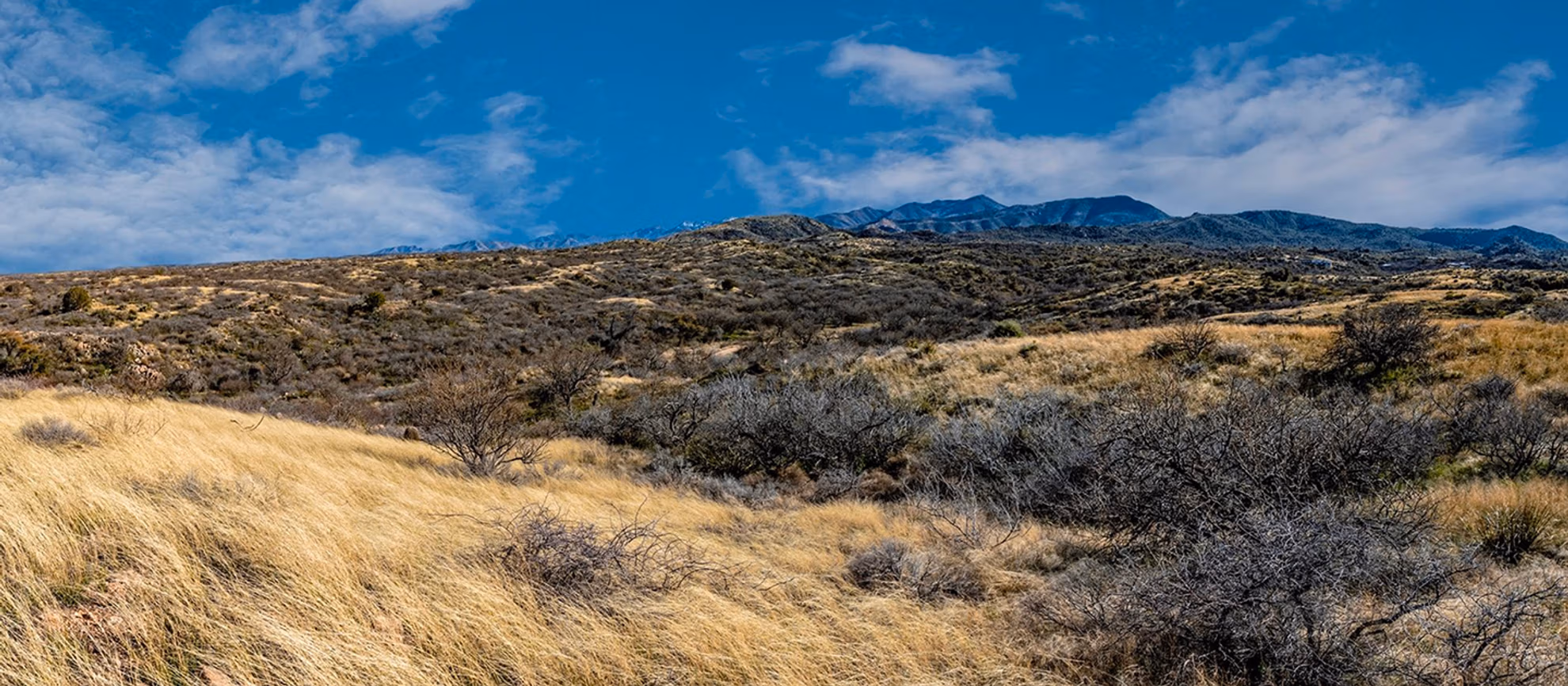 ORACLE STATE PARK