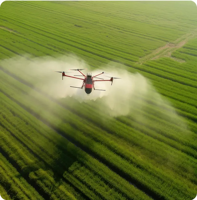 A drone is spraying in field.