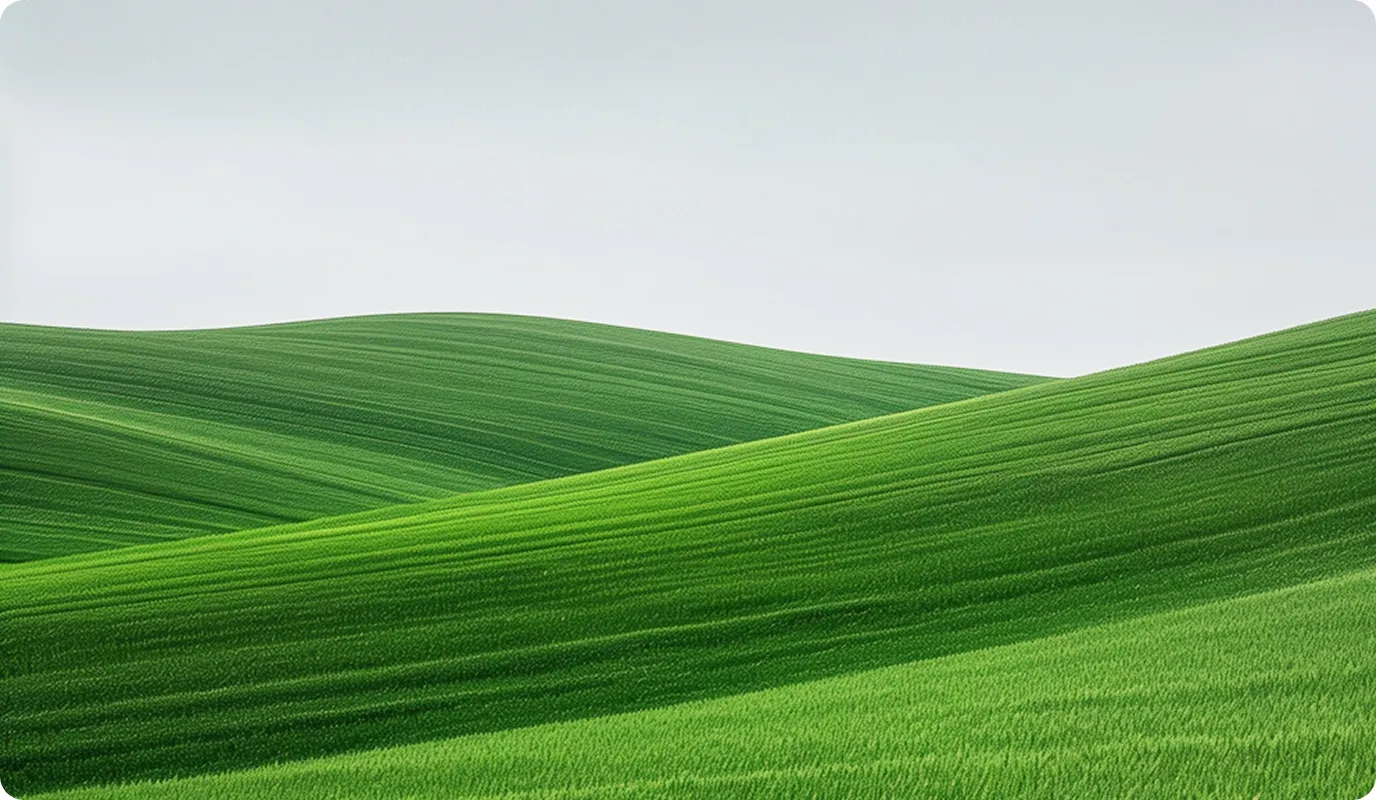 a green field