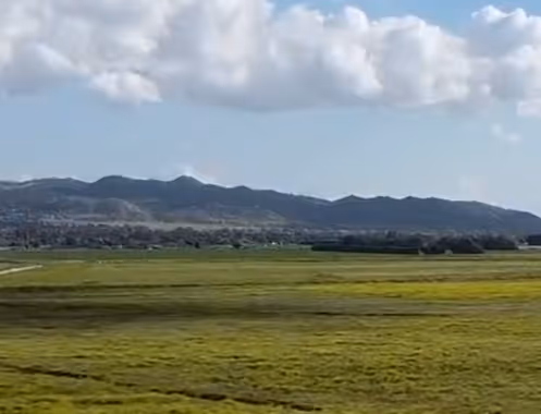 Video thumbnail image