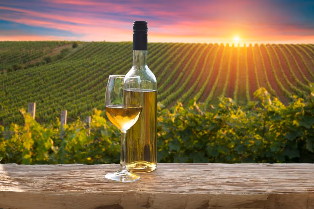 Food & Wine