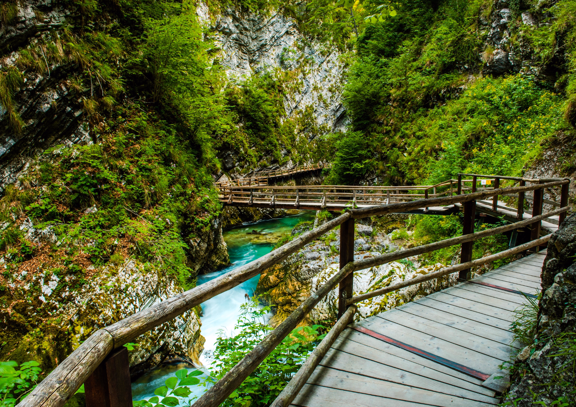 Vintgar and Tolmin Gorges