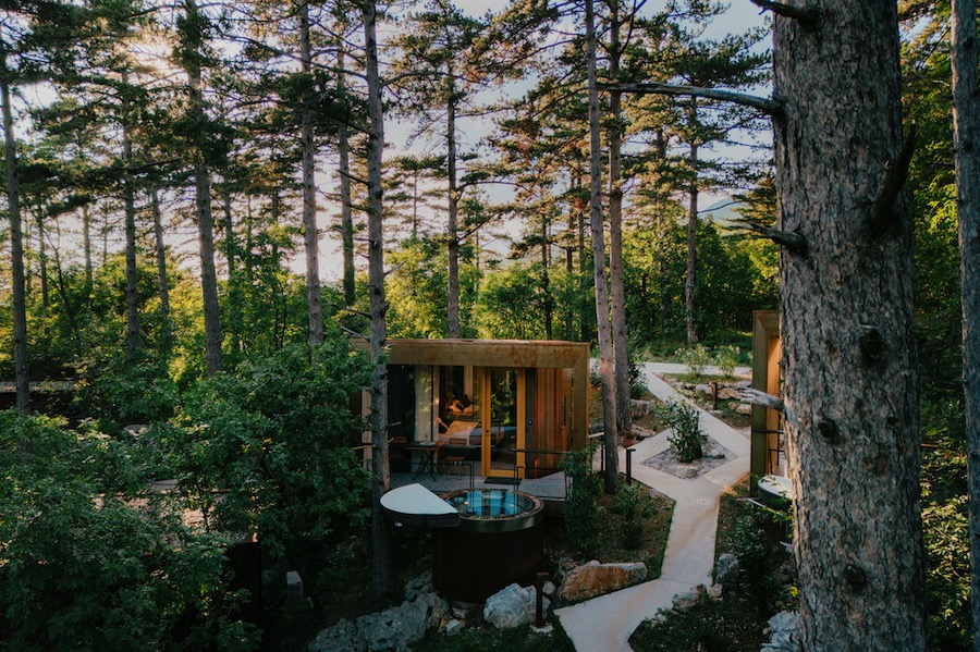 Theodosius Forest Village