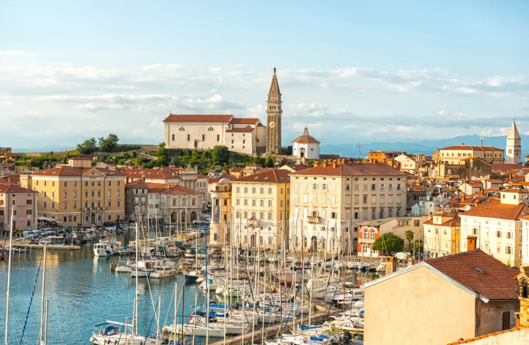 Coastal town harbour with boats and a tall bell tower