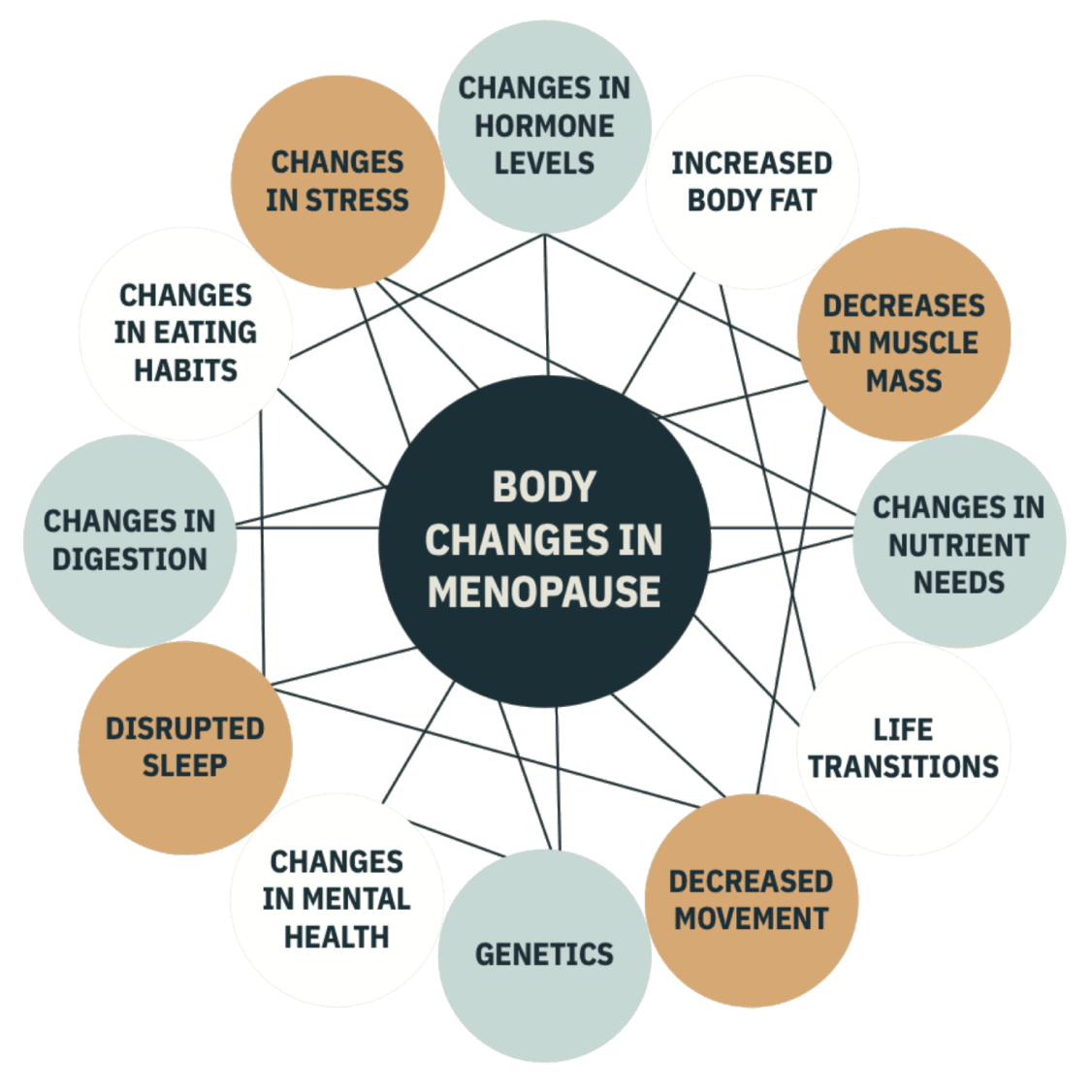 A graphic illustration depicting 12 body changes in menopause including stress, hormone levels, body fat, muscle mass, nutrient needs, life transitions, decreased movement, genetics, mental health, sleep, digestion, and eating habits. 