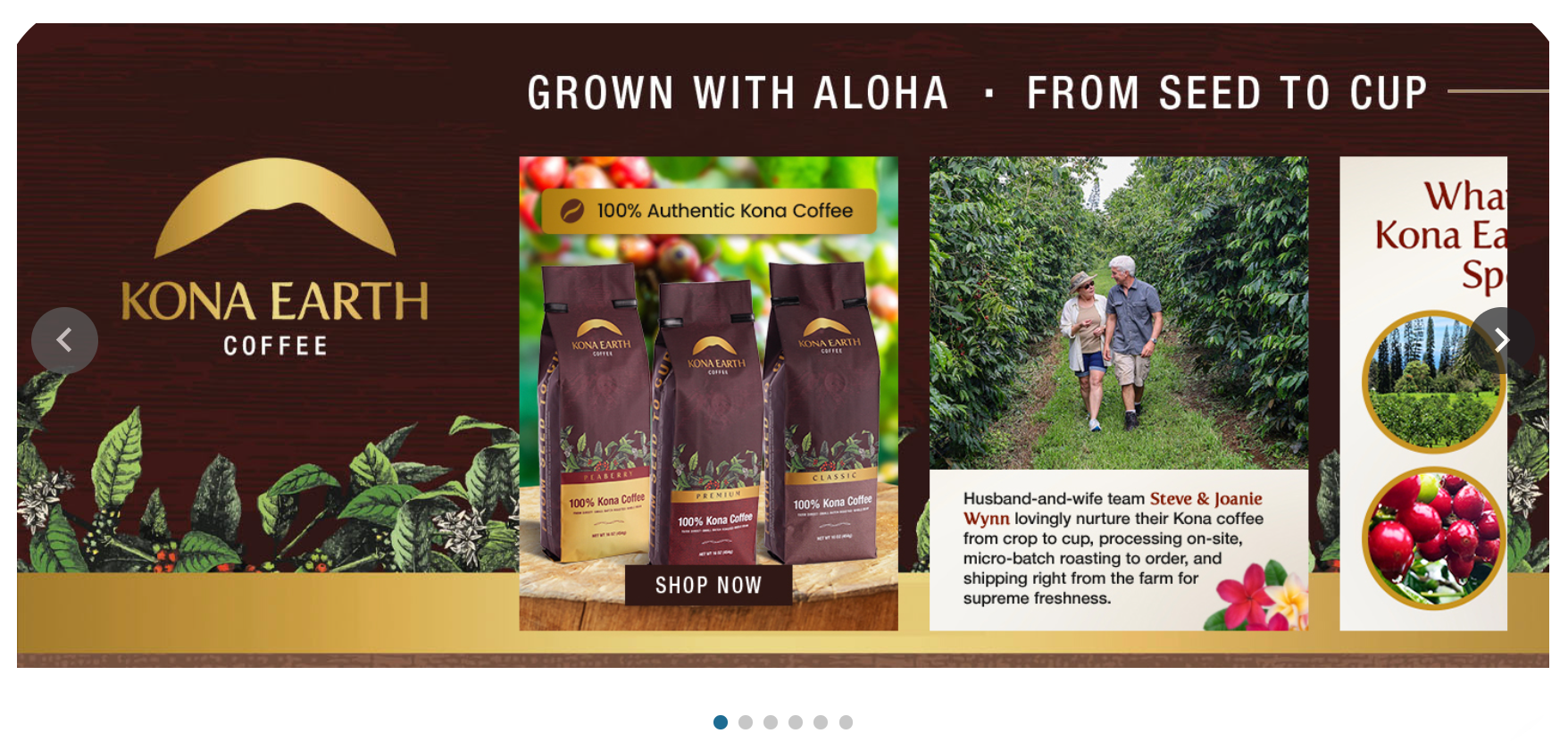 Brand Story Modules example