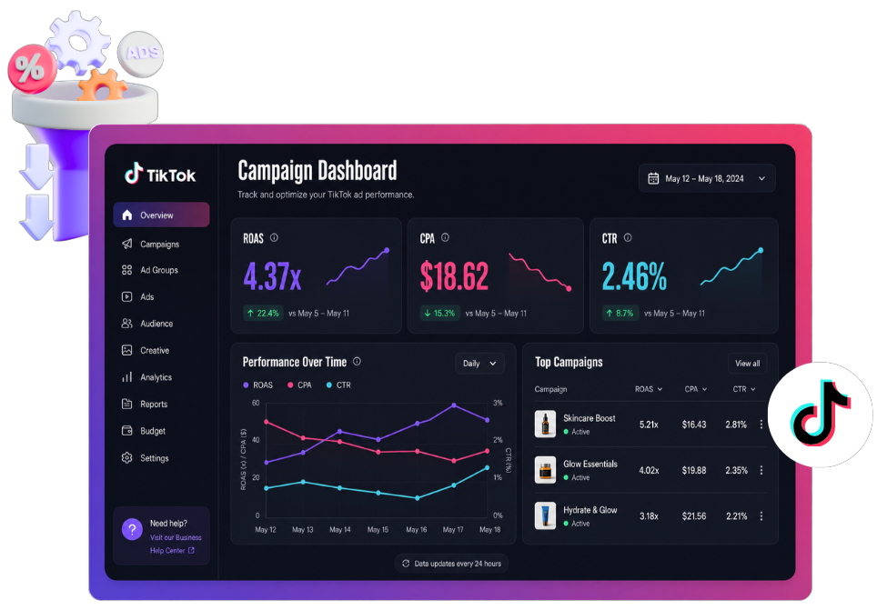 TikTok Ads Campaign Dashboard - performance tracking and optimization