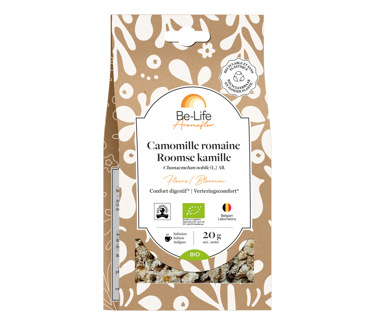 Camomille romaine