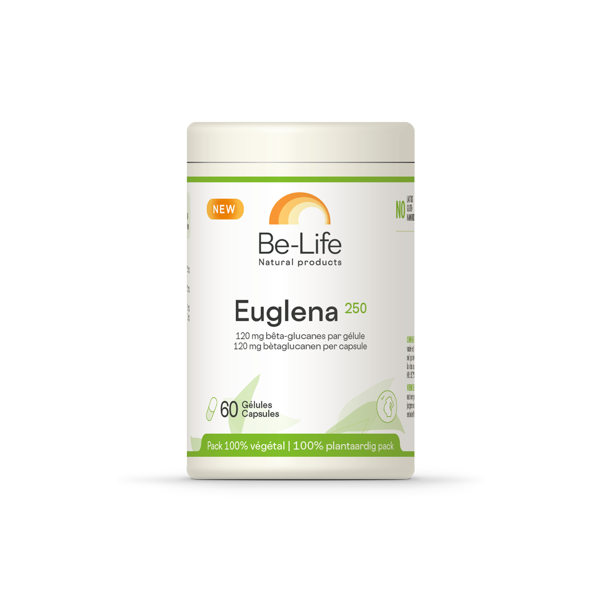 Euglena