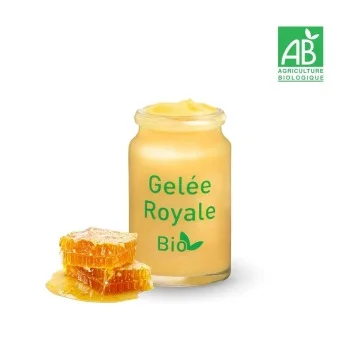 Gelée Royale Bio en pot