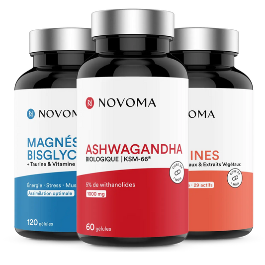 Pack les essentiels de rentrée Novoma