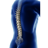 Msm (méthyle sulfonyle méthane)... Abcdelanature