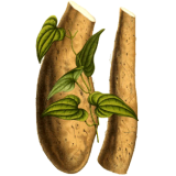 Yam wild-yam extrait gélules pullulan Abcdelanature