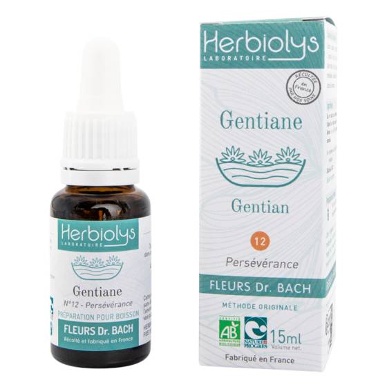 Gentian - gentiane n°12 - fleurs dr bach bio Herbiolys